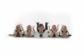 /album/detske-choreografie/a426095-600173826675939-2093937948-n-jpg/