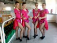 /album/effect-dance-cup-zlin-20121/a74767-401657843200025-1959889593-n-jpg/
